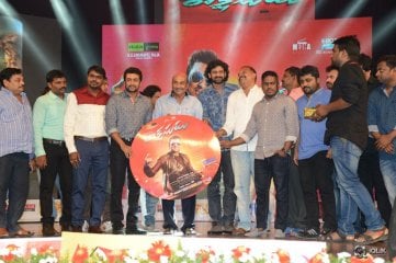 Rakshasudu Movie Audio Launch